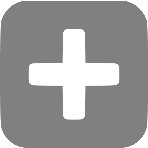 Gray Plus Icon