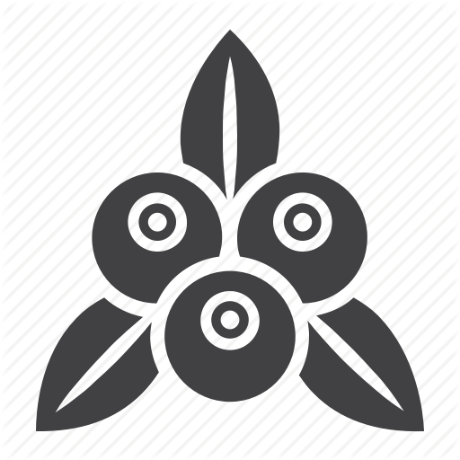 Diet, Food, Fresh, Fruit, Healthy, Red Currant, Vegetarian Icon