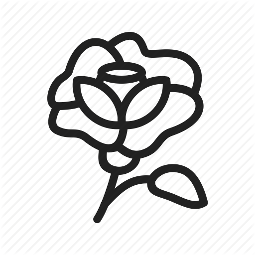 Decoration, Flower, Nature, Red, Rose, Roses, Summer Icon