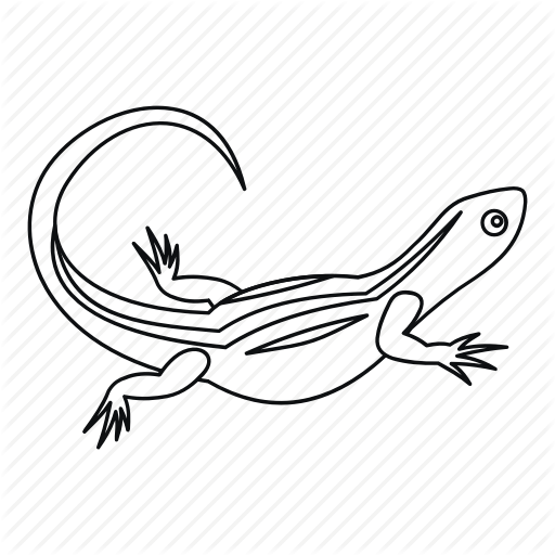 Animal, Isolated, Line, Lizard, Nature, Outline, Reptile Icon