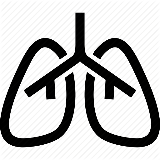 Anatomy, Lungs, Respiratory, System Icon