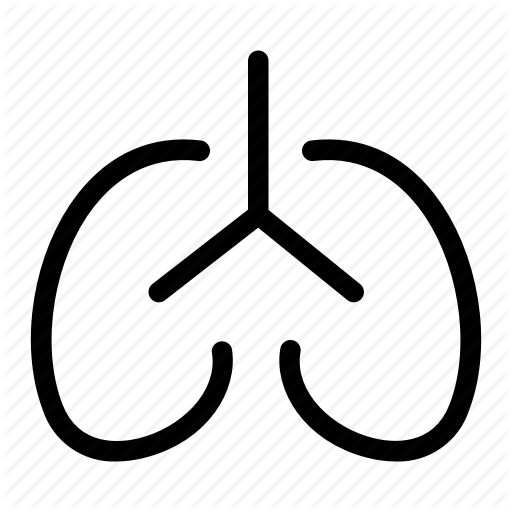 Breathing, Human Organ, Lungs, Respiration, Respiratory Icon