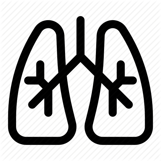Health, Human, Lung, Lungs, Organ, Oxygen, Respiratory Icon