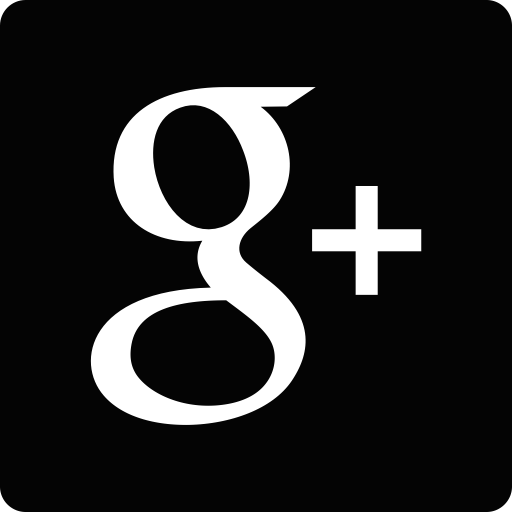 Google Icon