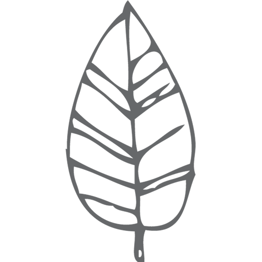 Cropped Site Icon Raw Revive