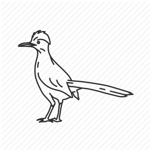 Bird, Desert Bird, Roadrunner Icon