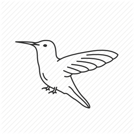 Bird, Fast Bird, Hummingbird, Nector Icon