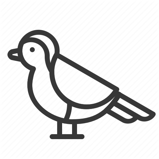 Animal, Bird, Christmas, Robin, Xmas Icon