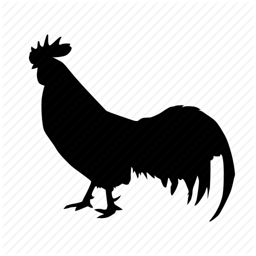 Animal, Bird, Cock, Rooster Icon