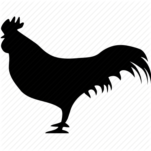Bird, Chicken, Cock, Domestic, Hen, Peter, Rooster Icon