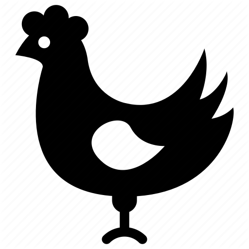 Chicken, Domesticated Bird, Hen, Poultry, Rooster Icon