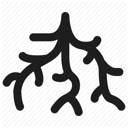 Root Icon