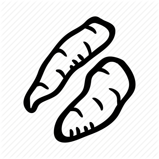 Cook, Herb, Ingredient, Plant, Root, Spice, Turmeric Icon