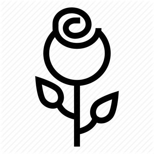 Floral, Flower, Garden, Nature, Petals, Plant, Rose Icon