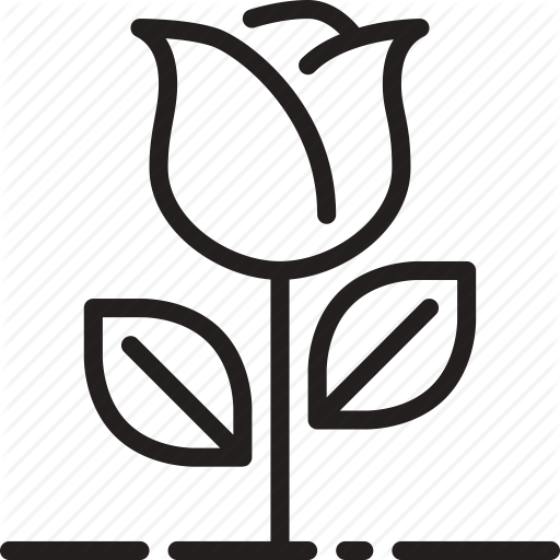 Flower, Love, Rose Icon