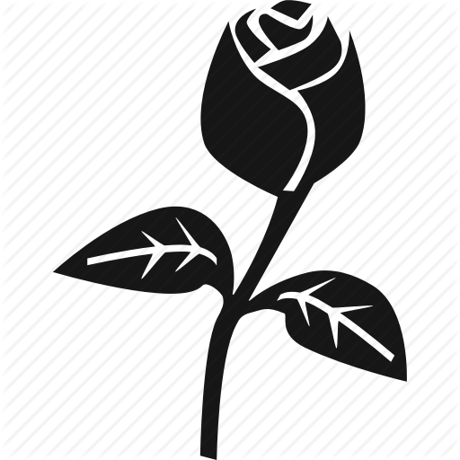 Flower, Nature, Plant, Romance, Rose Icon