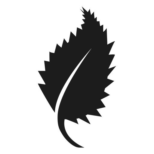 Pointed Sides Leaf Icon