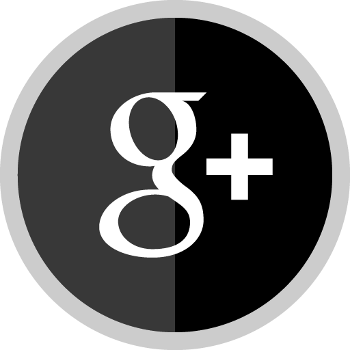 Free Google Plus Silver Round Social Media Icon