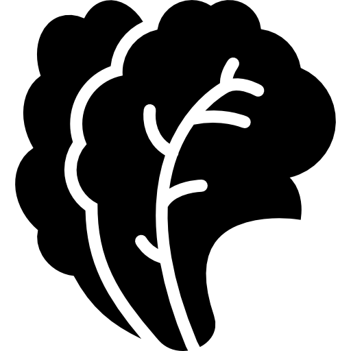 Salad Icon Gastronomy Collection Smashicons