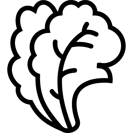 Salad Icon