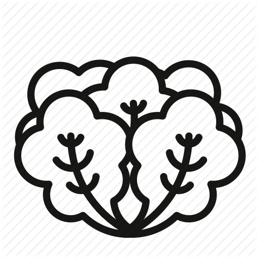 Food, Green, Health, Lettuce, Salad Icon