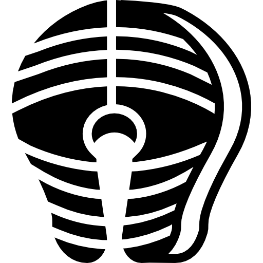 Salmon Icon