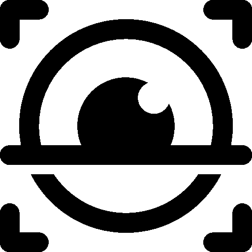 Security Iris Scan Icon Windows Iconset