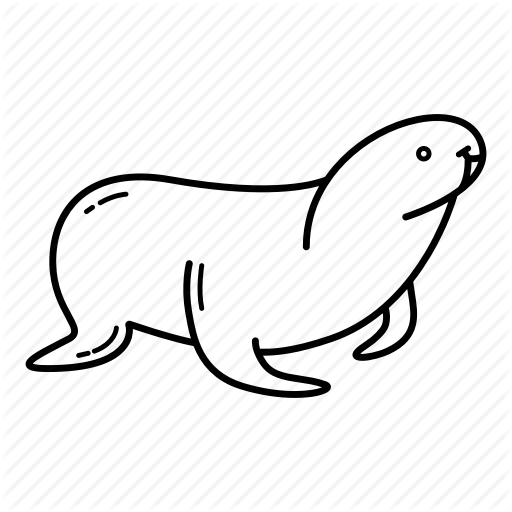 Collection Of Free Seal Drawing Sea Creature Download On Ui Ex