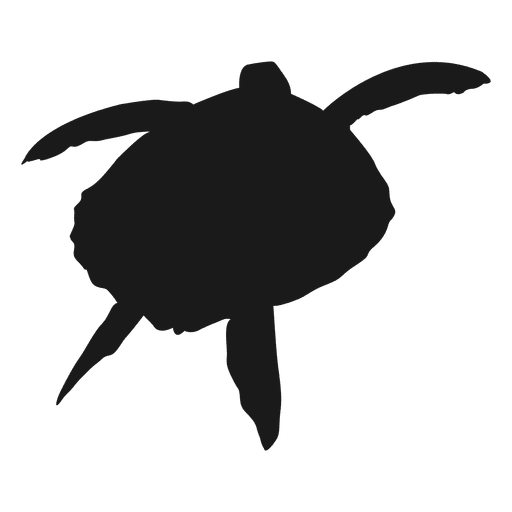 Turtle Silhouette