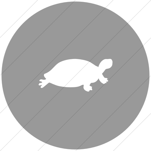 Flat Circle White On Light Gray Animals Turtle Icon