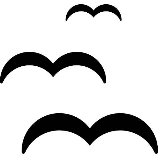 Three Seagulls Icons Free Download