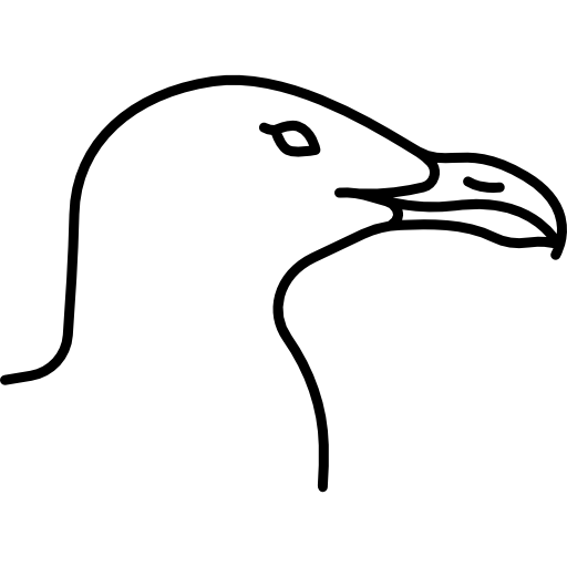 Seagull Icon