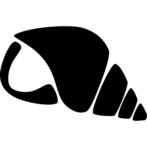 Nautilus Shell Of Sea Life To Hear The Sea Sound For Relaxation