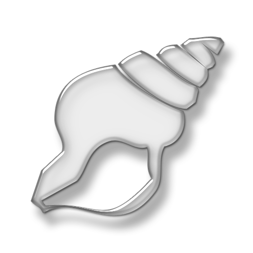 Seashells Transparent Background Clipart Collection