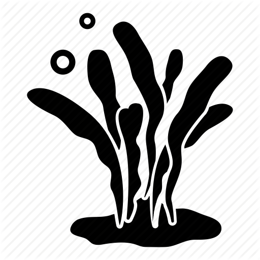 Aquaculture, Laver, Ocean, Sea, Seaweed, Weed Icon