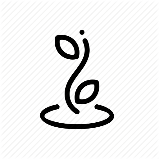 Agro, Corn, Germ, Wheat Icon