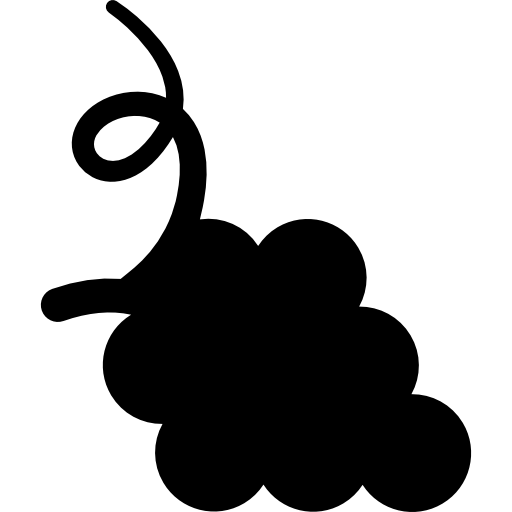 Bouquet, Hoodie, Grape, Berry, Grapes, Fashion, Food, Fruit