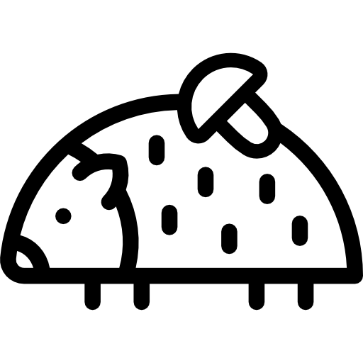 Hedgehog Icon