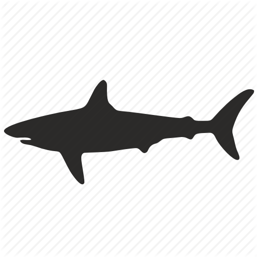 Form, Shark Icon