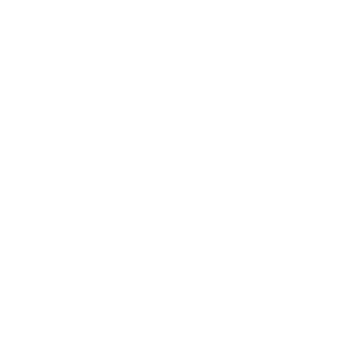 White Shield Icon