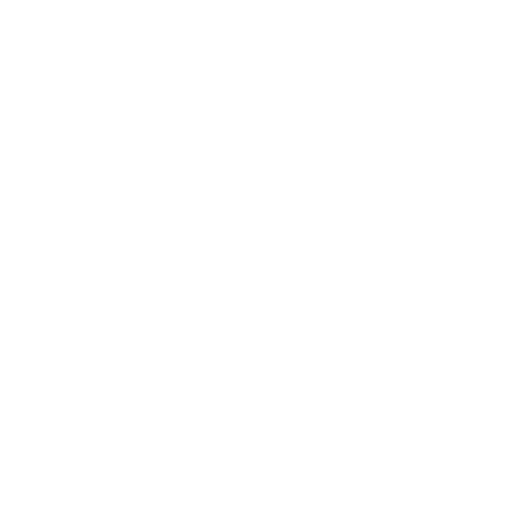 White Shopping Bag Icon