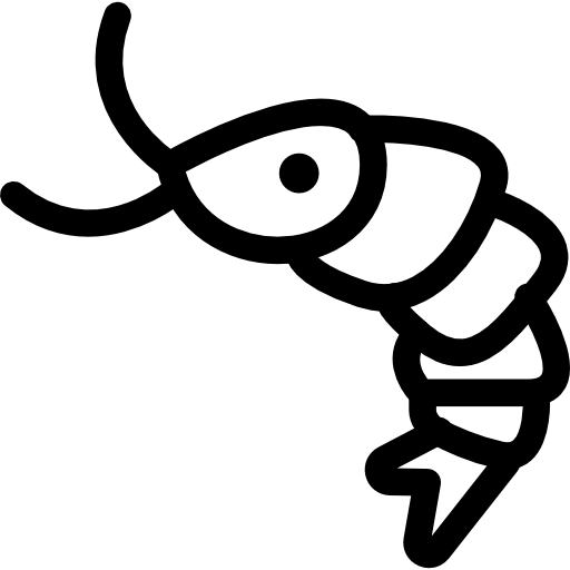 Shrimp Icons Free Download