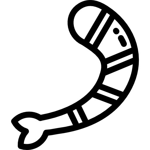 Shrimp Icon