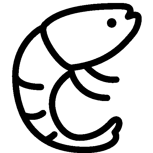 Animals Shrimp Icon Ios Iconset