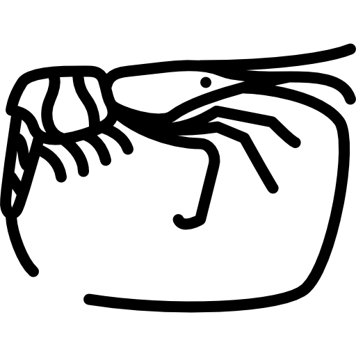 Big Shrimp Icons Free Download