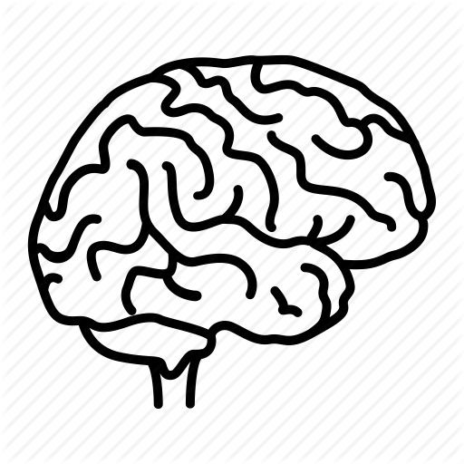 Collection Of Free Spine Vector Brain Download On Ui Ex