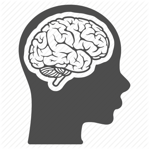 Brain Memory Png Transparent Brain Memory Images