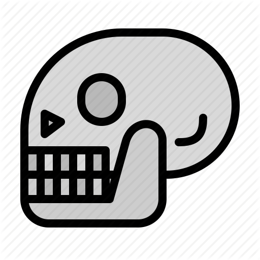 Anatomy, Bones, Dead, History, Parts, Skeleton Icon