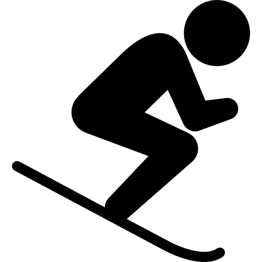 Ski Icon