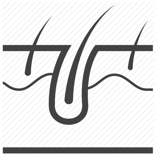 Body, Docter, Hair, Healthy, Medical, Organ, Skn